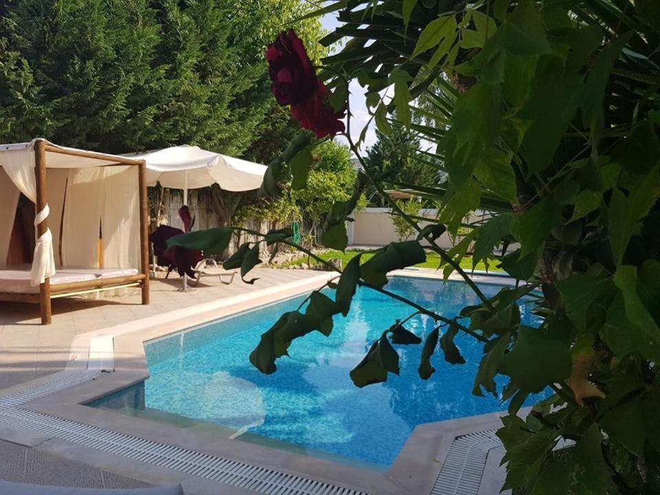 Villa Adonis With Private Pool By Lefkadastay Dış mekan fotoğraf