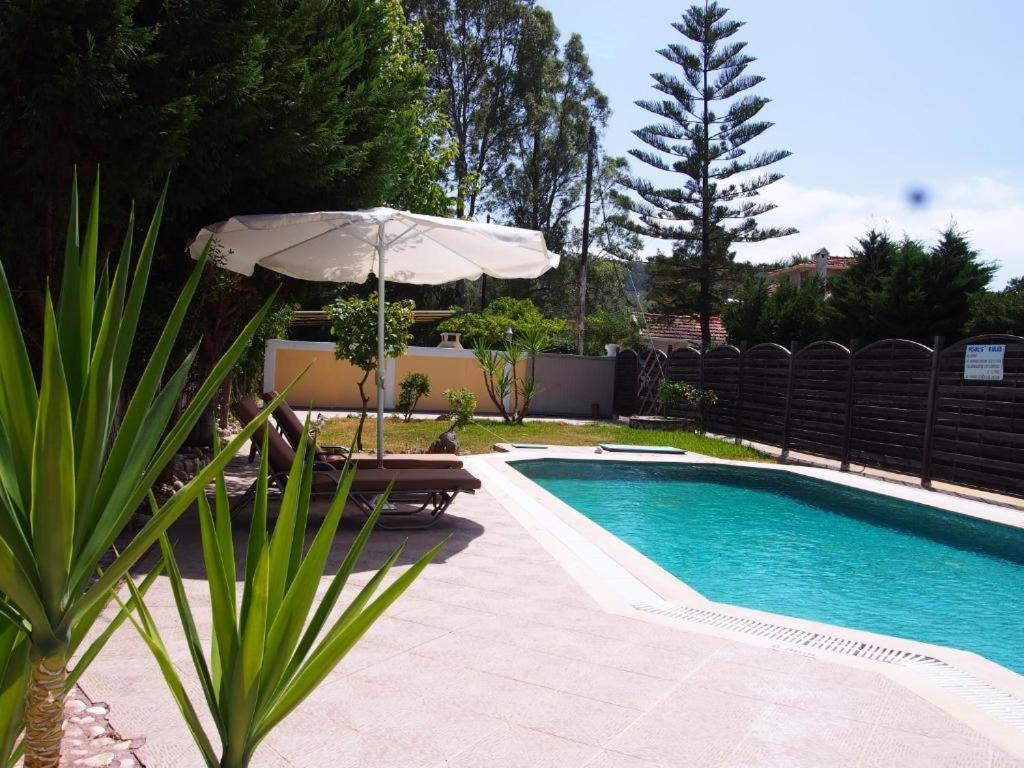 Villa Adonis With Private Pool By Lefkadastay Dış mekan fotoğraf